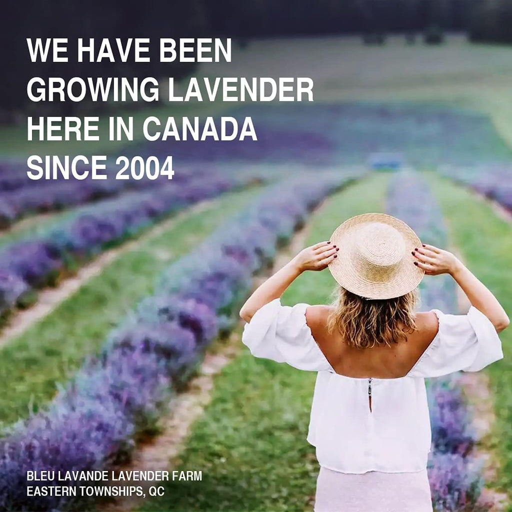 Bleu Lavande Lavender linen water 16.9 fl oz